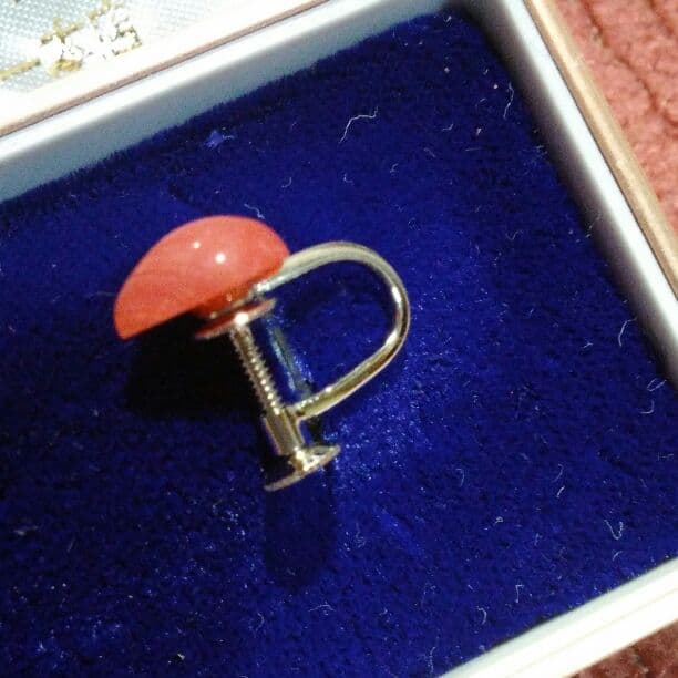 珊瑚　イヤリング　新品！