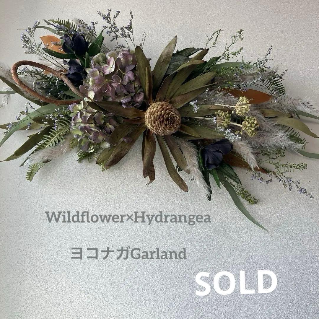 43㎝　リューカデンドロンとアンティーク紫陽花の横長ガーランド