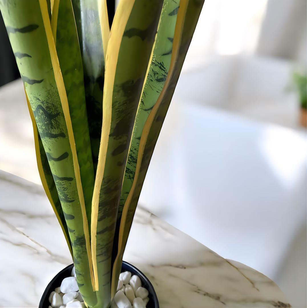 光触媒　人工観葉植物　ウォールグリーン　フェイクグリーン　サンスベリア1000
