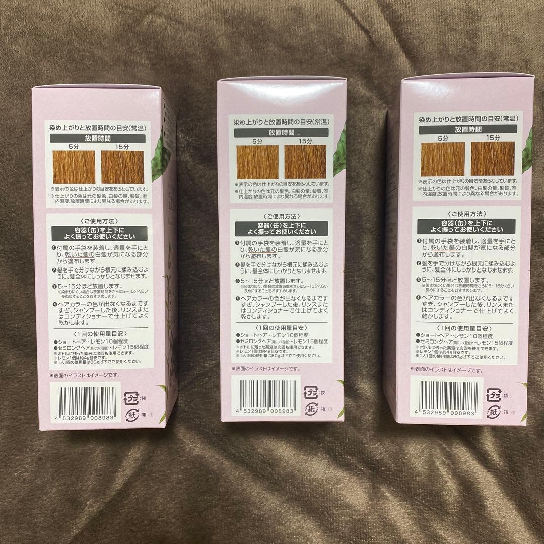 【ヘアカラー】ヘアボーテ エクラ ボタニカル エアカラーフォーム ライトブラウン