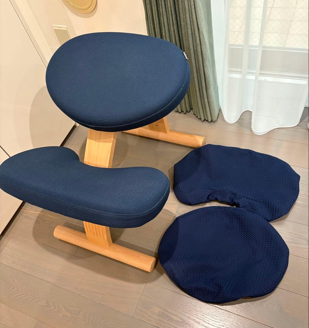 balance Easy バランスチェア 椅子 カバー付き