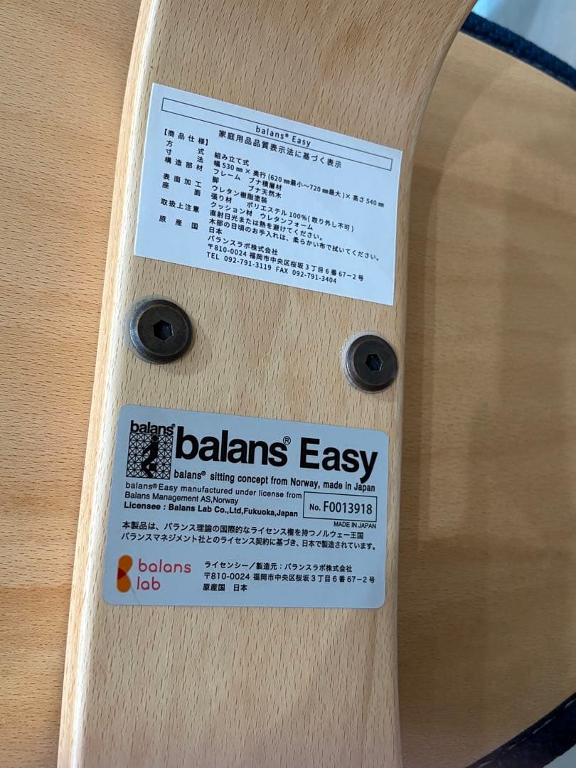 balance Easy バランスチェア 椅子 カバー付き