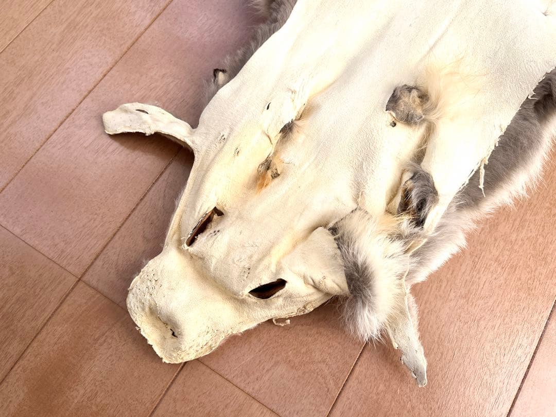 フォックス 毛皮 リアルファー A3 ★ ラグ　敷物　インテリア 狐　キャンプ