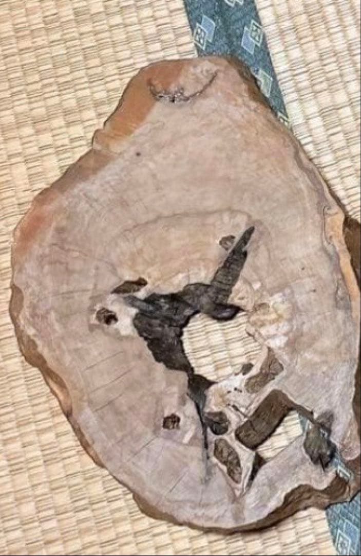 屋久杉ミニテーブル レア 貴重 希少