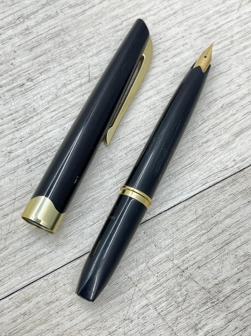 プラチナ 万年筆 18K 細軟 ブラック×ゴールド PLATINUM