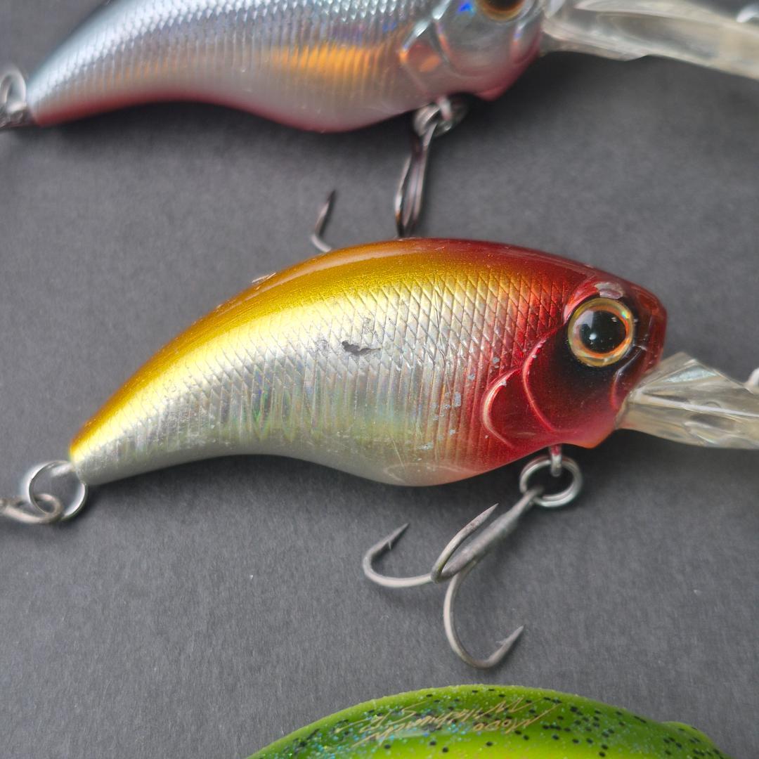 Evergreen MODO ワイルドハンチ 10個セット　a141-150