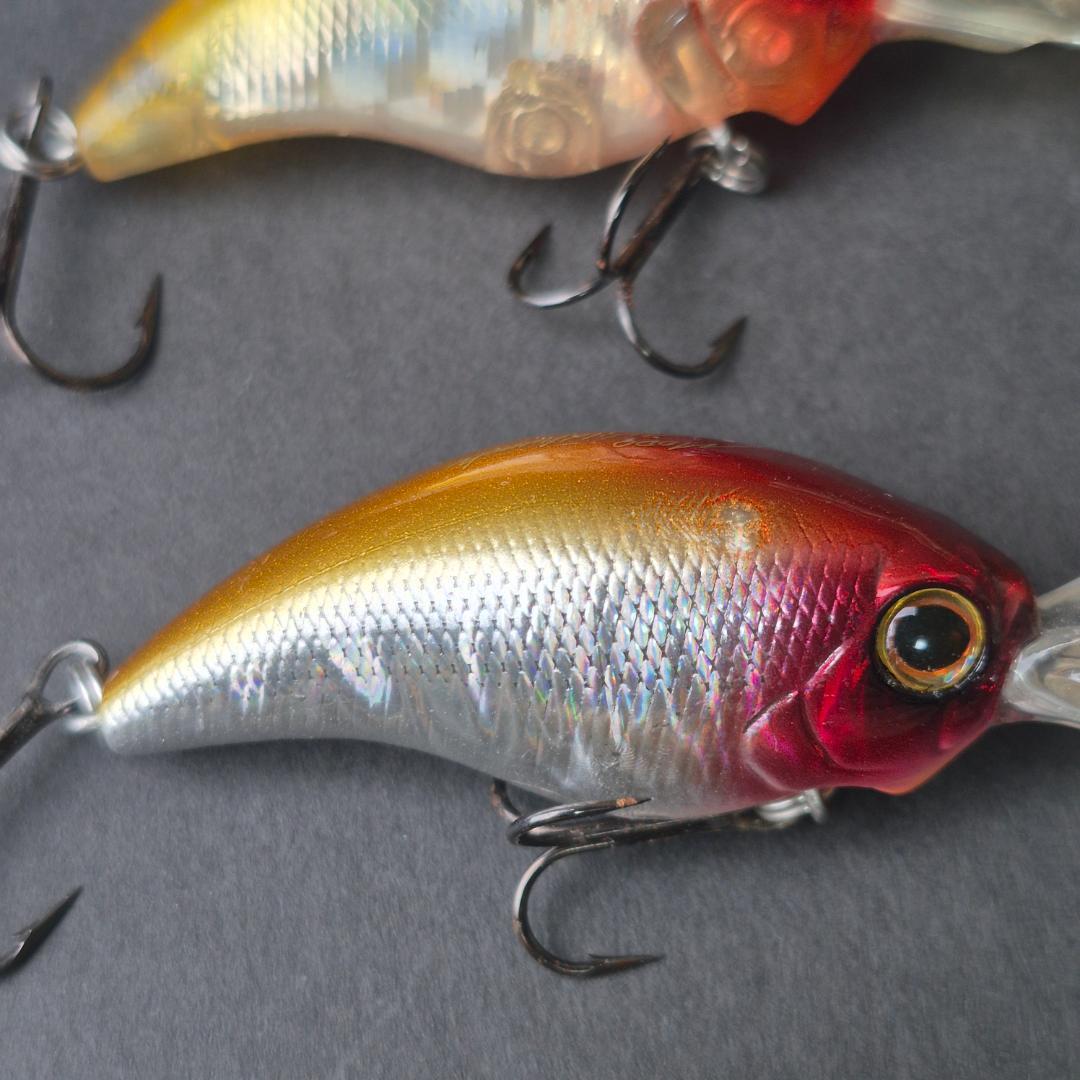 Evergreen MODO ワイルドハンチ 10個セット　a141-150