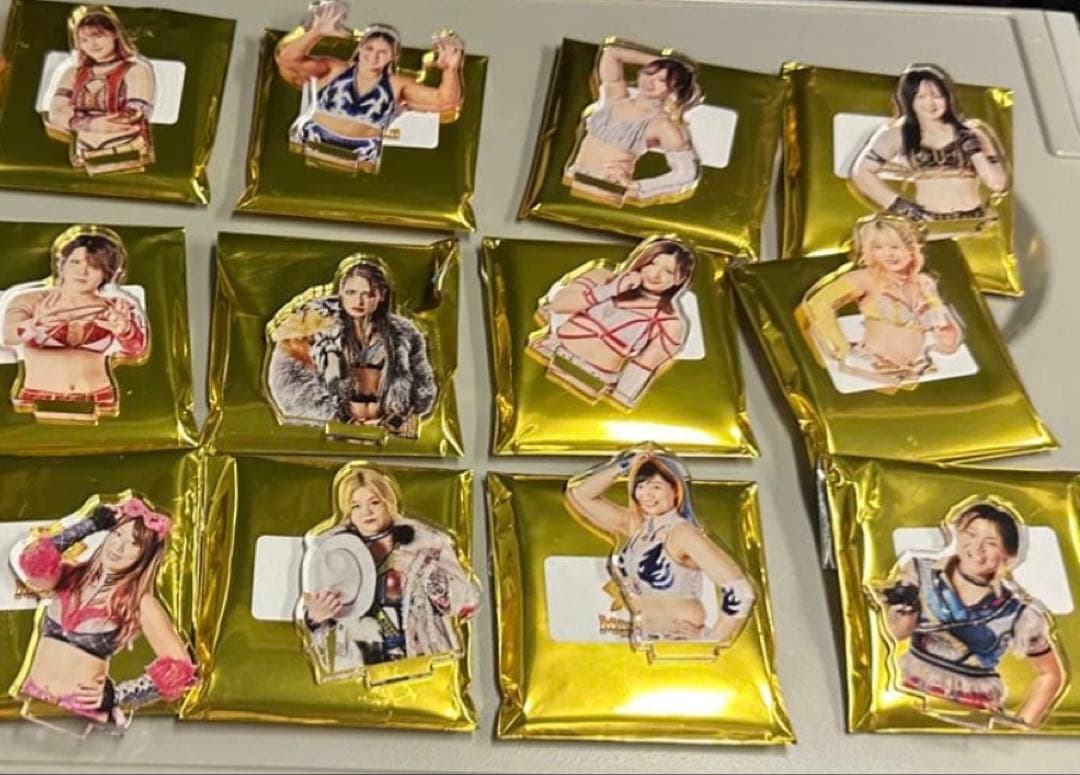 12種セット　女子プロレス　マリーゴールド　アクスタ　アクリルスタンド