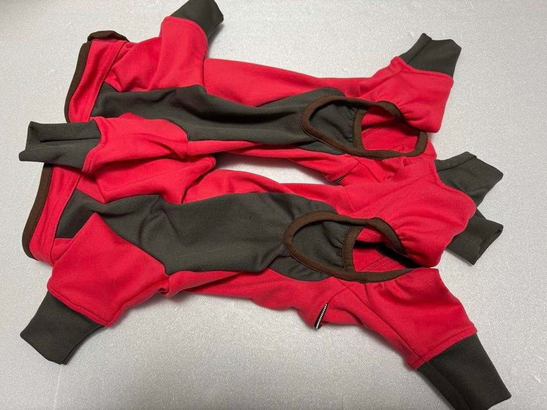 アルファアイコン SM 2枚 ダブルドッグガード