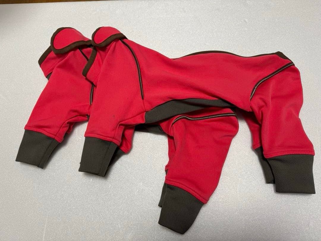 アルファアイコン SM 2枚 ダブルドッグガード