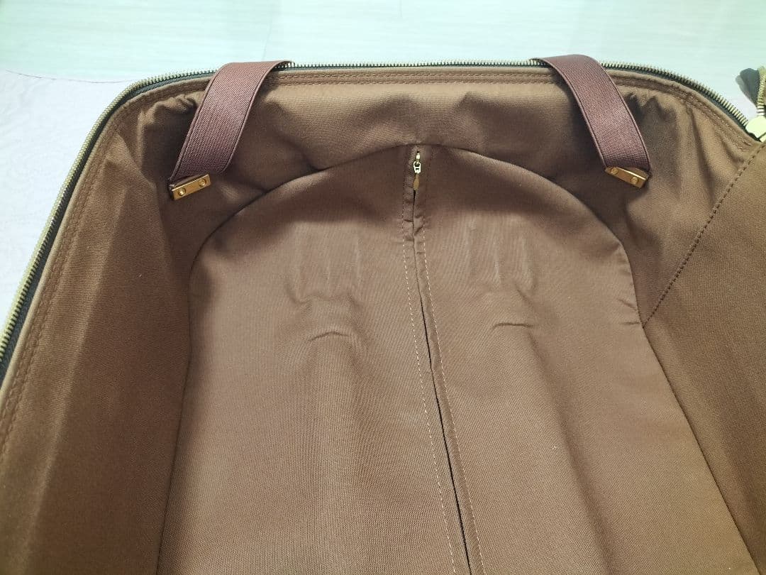 Louis Vuitton ペガス55 モノグラム キャリーケース 美品破損無し