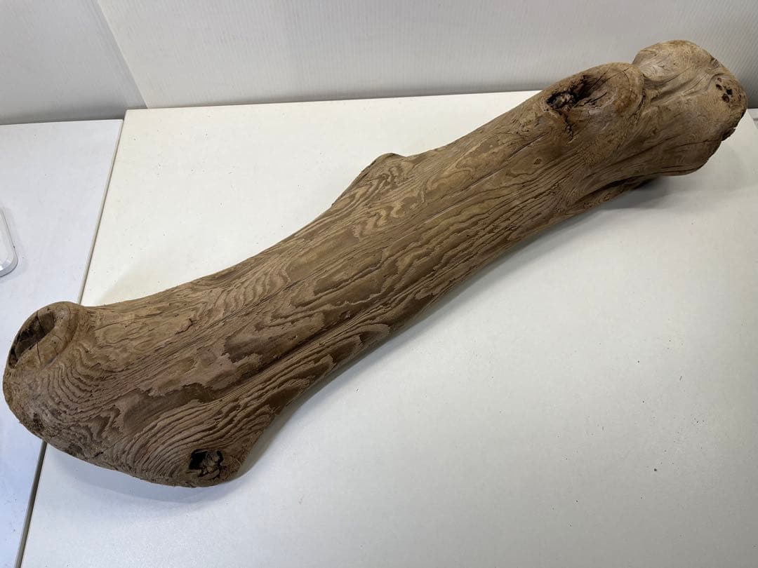 n42特大流木 大型流木 アク抜き済み 爬虫類シェルター レイアウト用 登り木