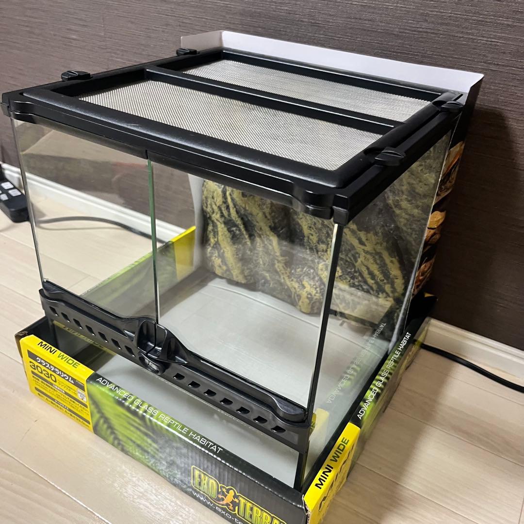 エキゾテラGEX EXOTERRA グラステラリウム 3030 爬虫類飼育ケージ