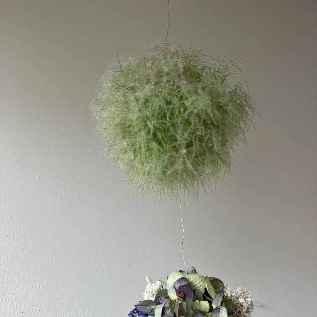 スモークツリー と紫陽花の3連ボールガーランド　千鳥草　フランネルフラワー