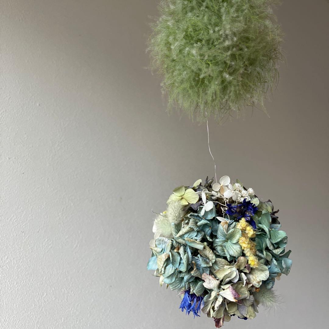 スモークツリー と紫陽花の3連ボールガーランド　千鳥草　フランネルフラワー