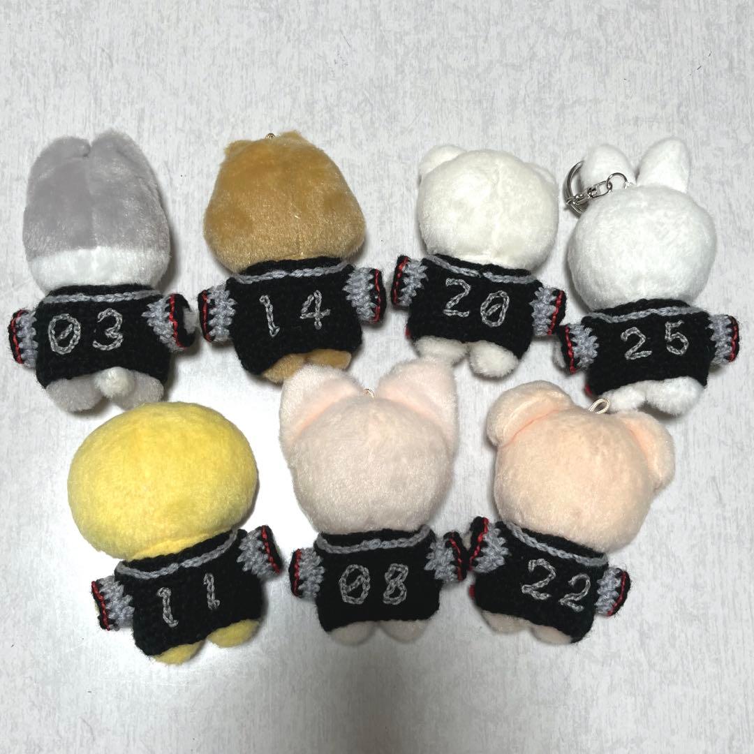 Shimoyuスキズエコパユニホーム