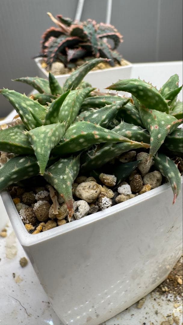 お問い合わせ用