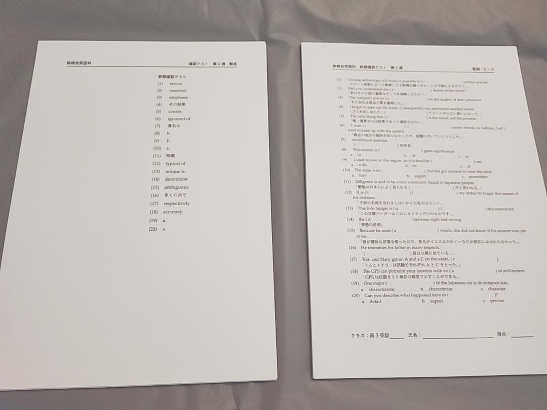 鉄緑会　23最新　高3英語　鉄壁確認テスト　通期フルセット　英単語　河合塾　駿台