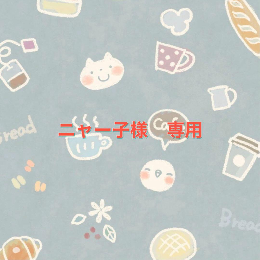 フラーレン　ニャー子