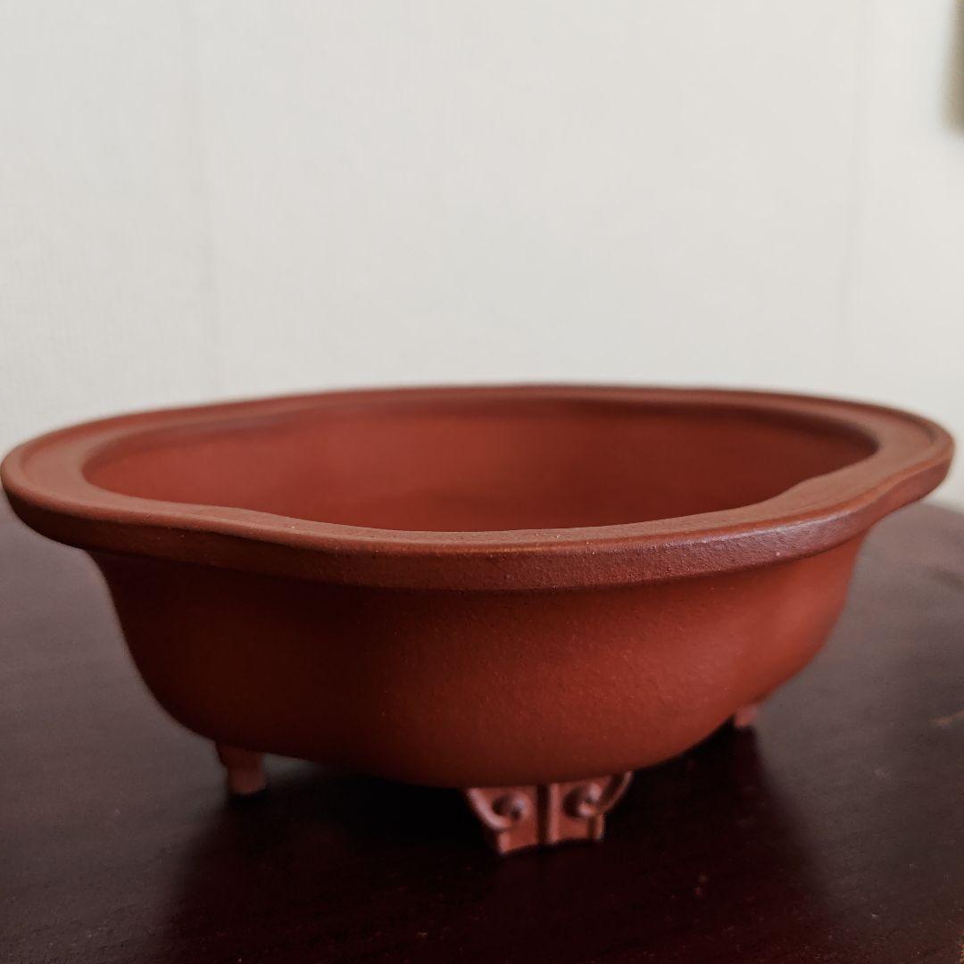壱興　紅泥外縁雲足木瓜鉢