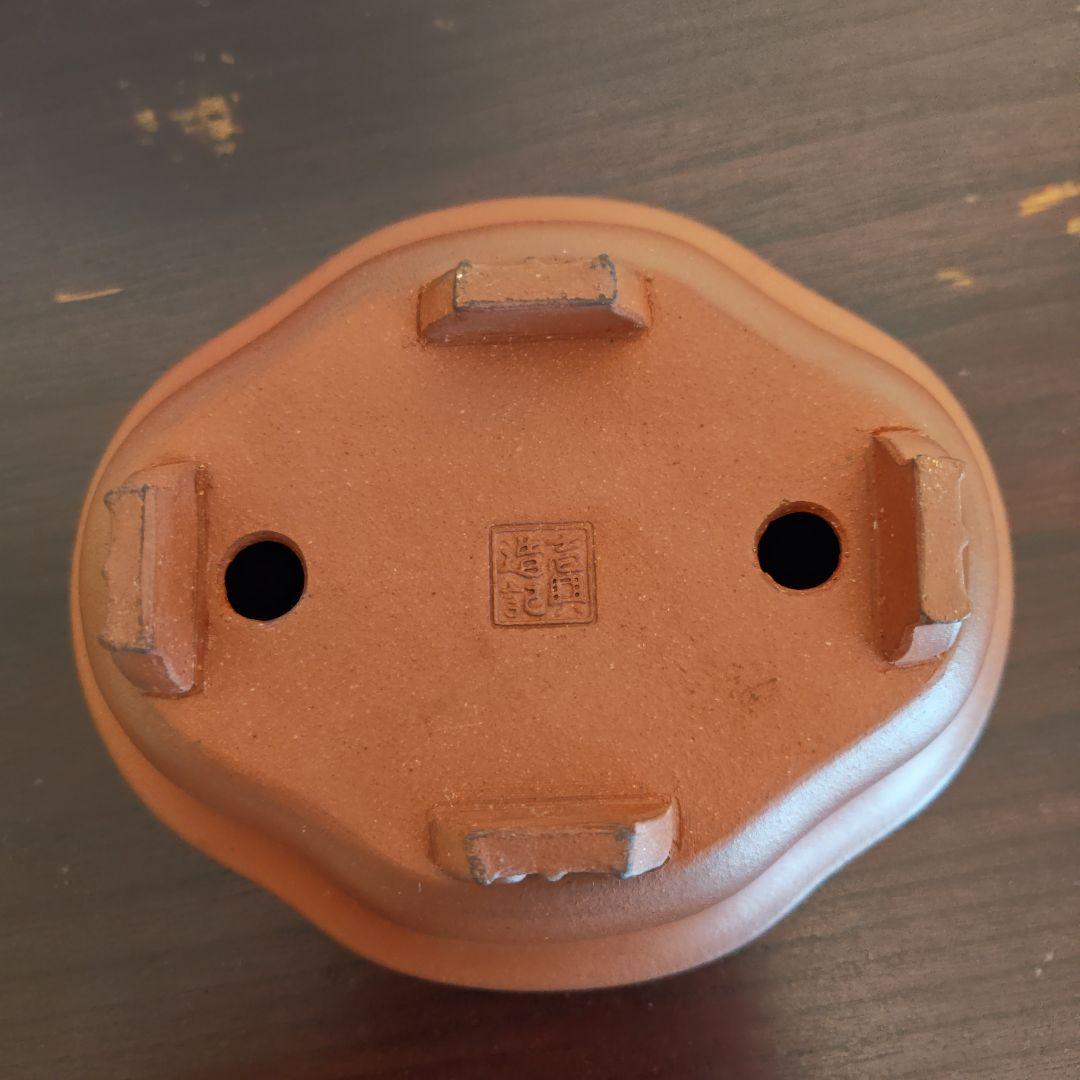 壱興　紅泥外縁雲足木瓜鉢