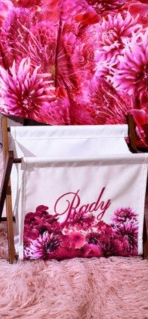 Rady リゾフラ　マガジンラック　小物入れ　レディ