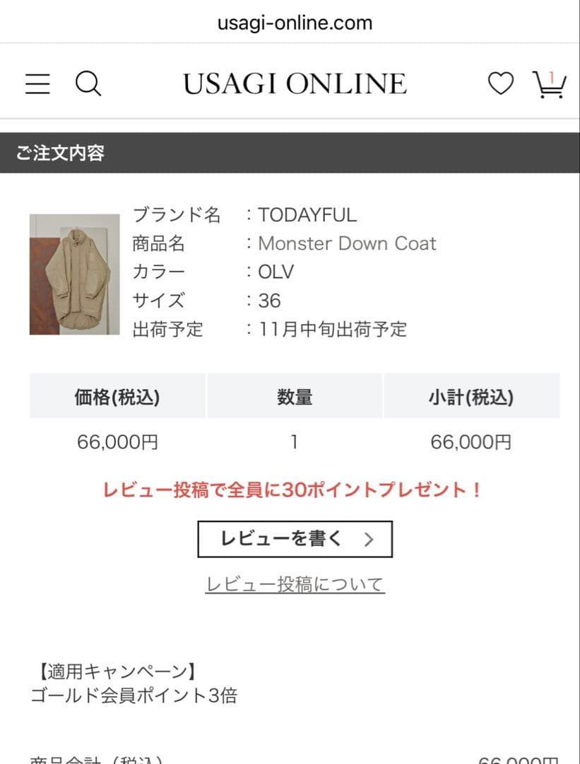 TODAYFUL Monster Down Coat オリーブ 36