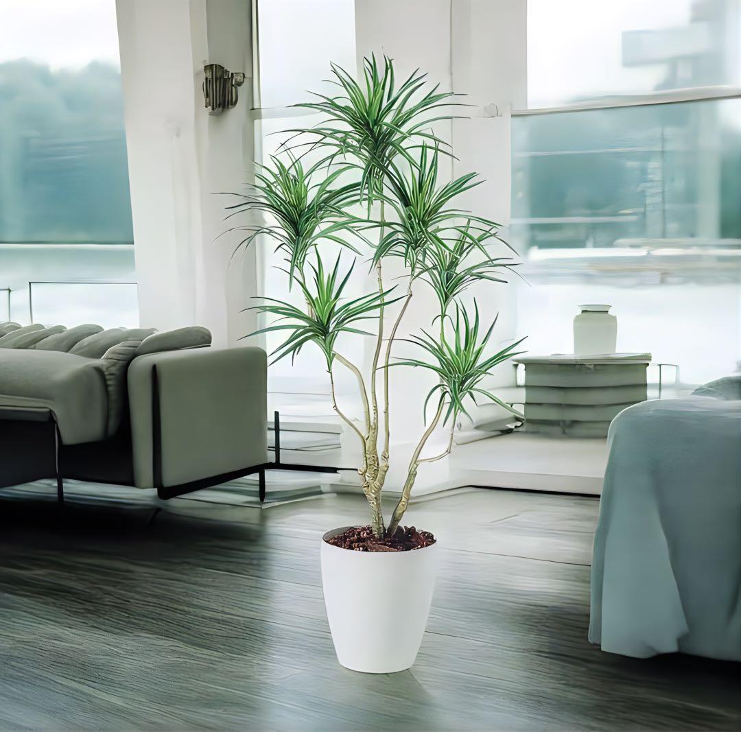 光触媒　人工観葉植物　ウォールグリーン　フェイクグリーン　コンシナトリコロル14