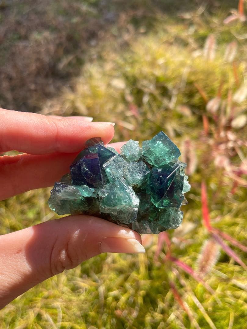 イギリス　ダイアナマリア産カラーチェンジフローライト