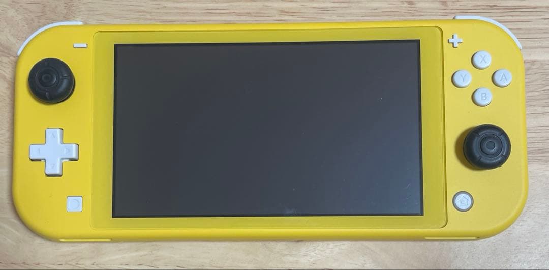 Nintendo Switch Lite 箱あり ケース付き 動作確認済