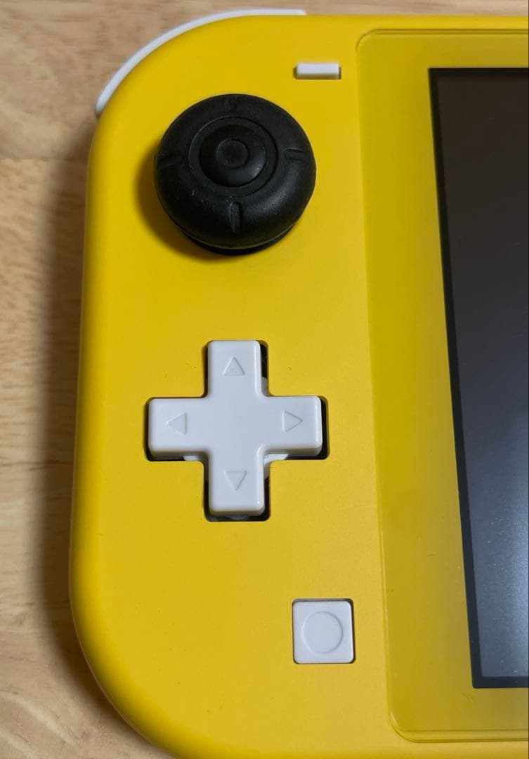 Nintendo Switch Lite 箱あり ケース付き 動作確認済