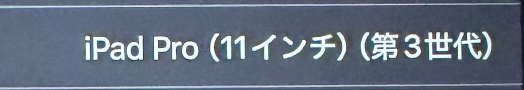 iPadPro11インチ 第3世代 256GB 付属あり