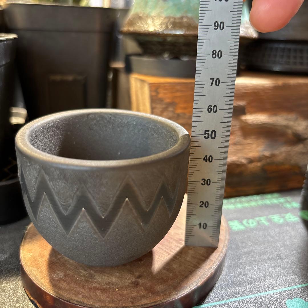 VALIEM Baby XXS ビター バリエム　ベビー