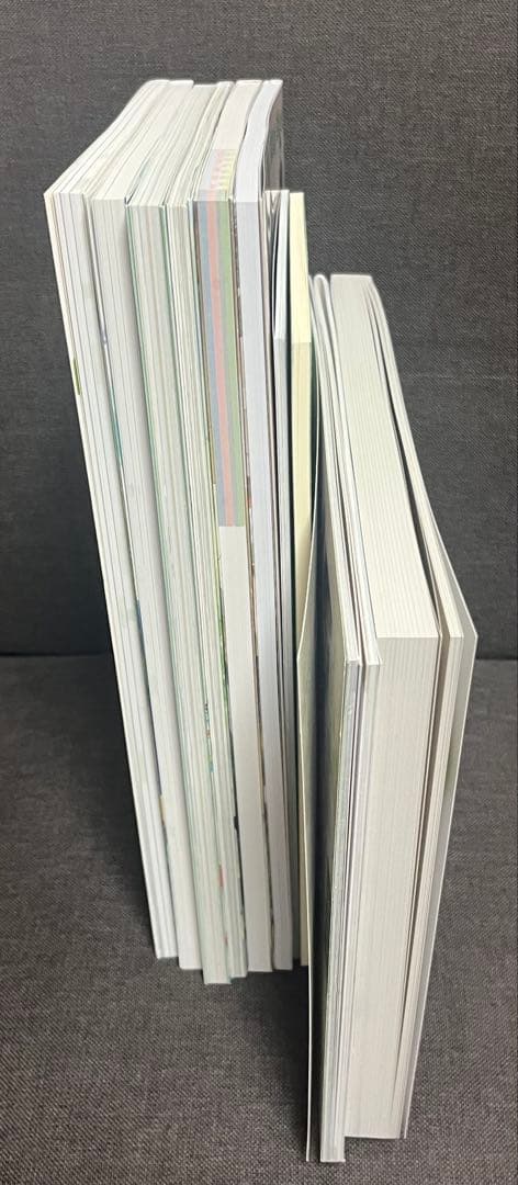 ツルネ 【11冊セット】原画集　ファンブック 設定集　イラストブック