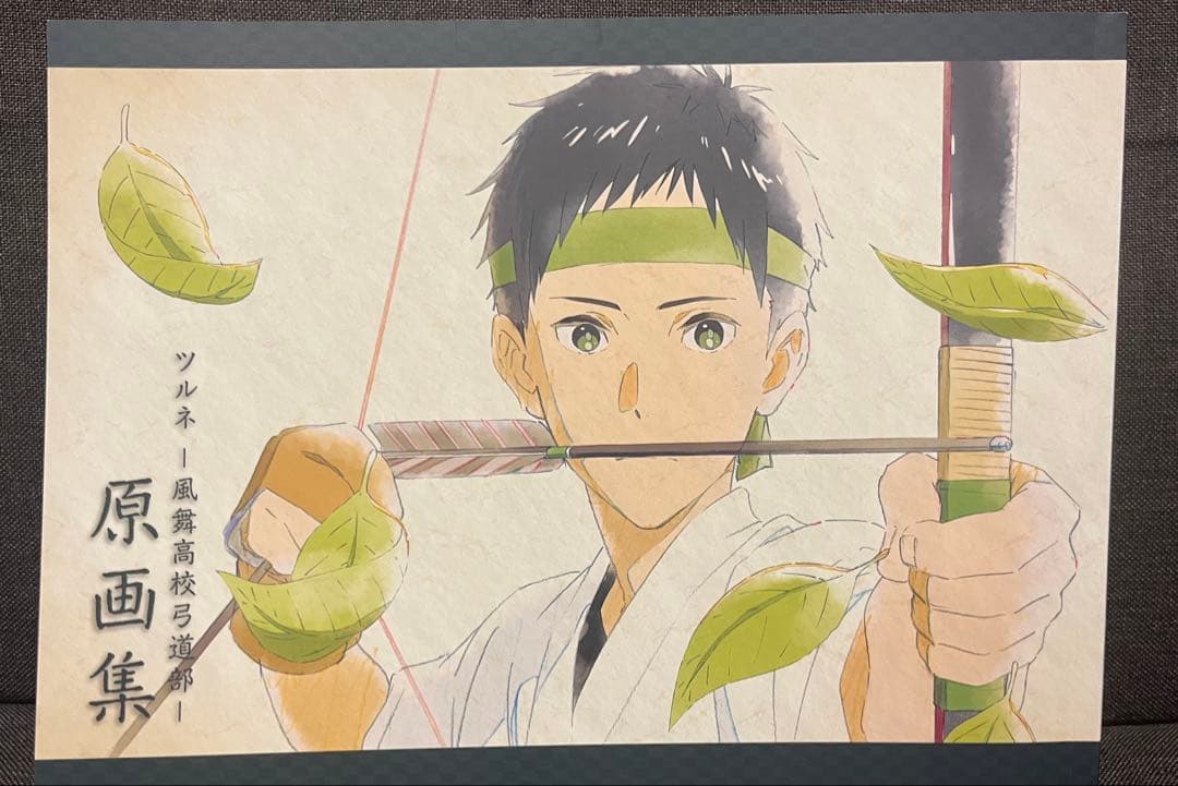 ツルネ 【11冊セット】原画集　ファンブック 設定集　イラストブック