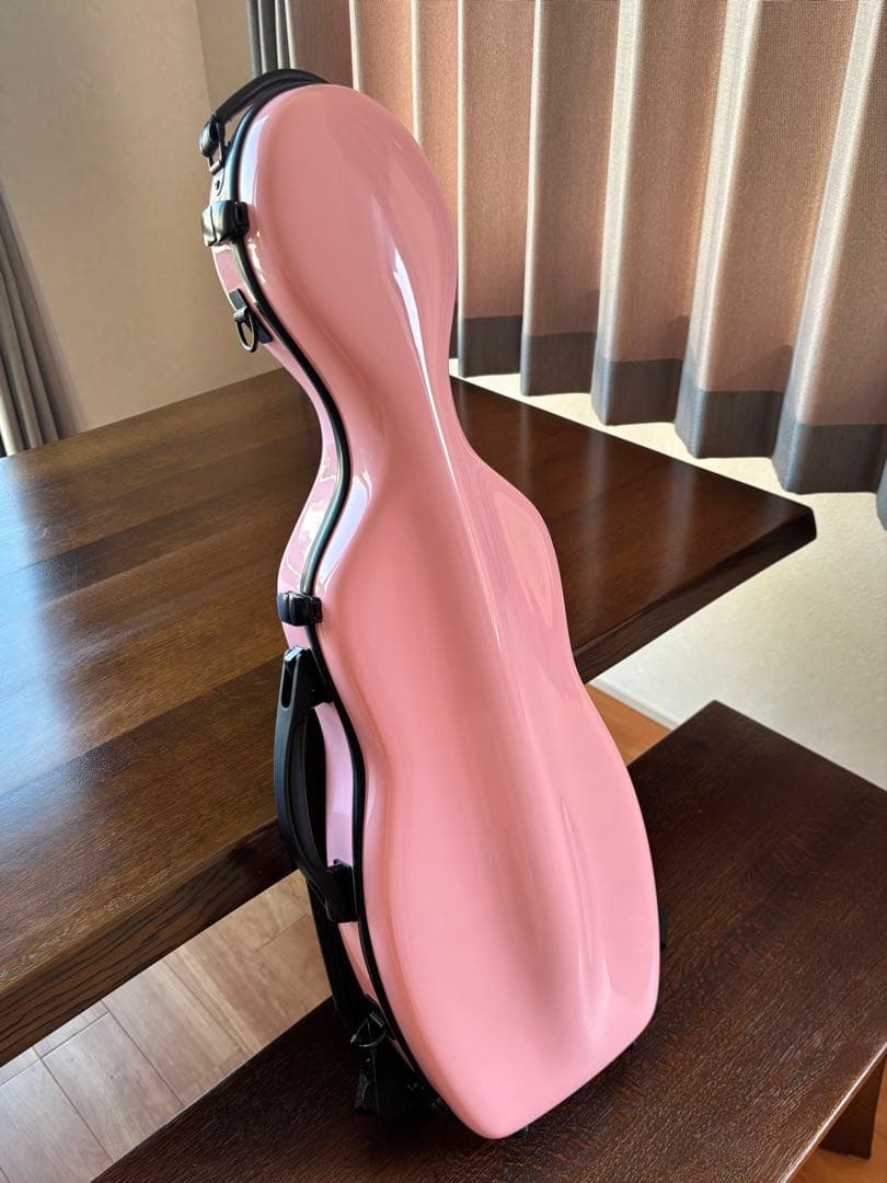 Fiumebianca バイオリンケースとBella Armonia バイオリン