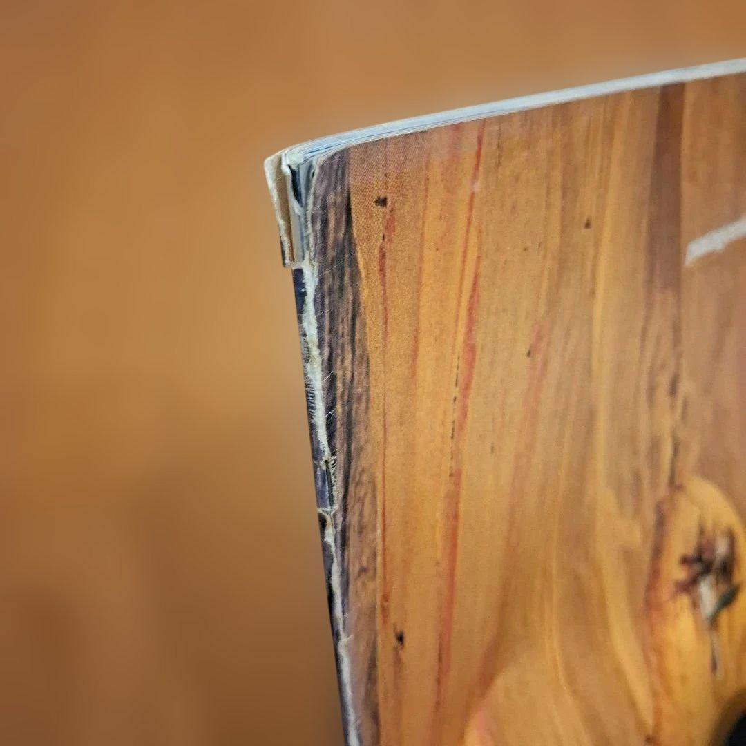 パタゴニア patagonia　1995年～1999年 カタログ 8冊