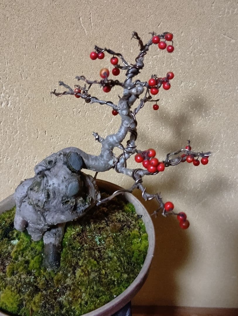 梅モドキ盆栽　枯木