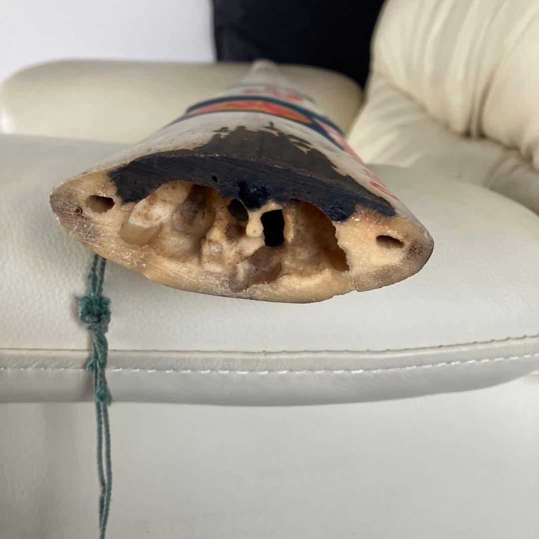 カジキマグロの吻だと知らされました。