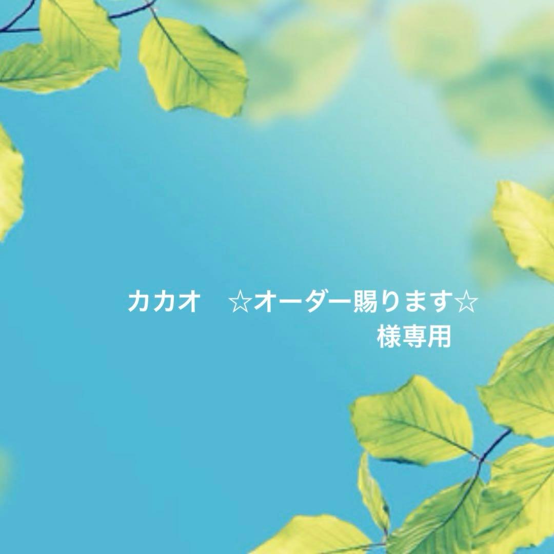 プチブライスカスタム 専用ページ