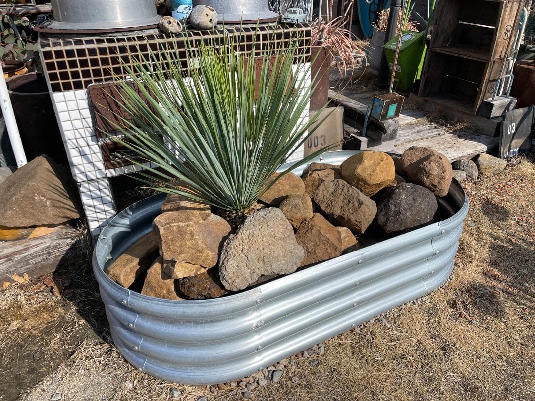 ジャンク　　プランタ―　　ガーデンボックス 　 野菜用 花　サボテン　多肉植物