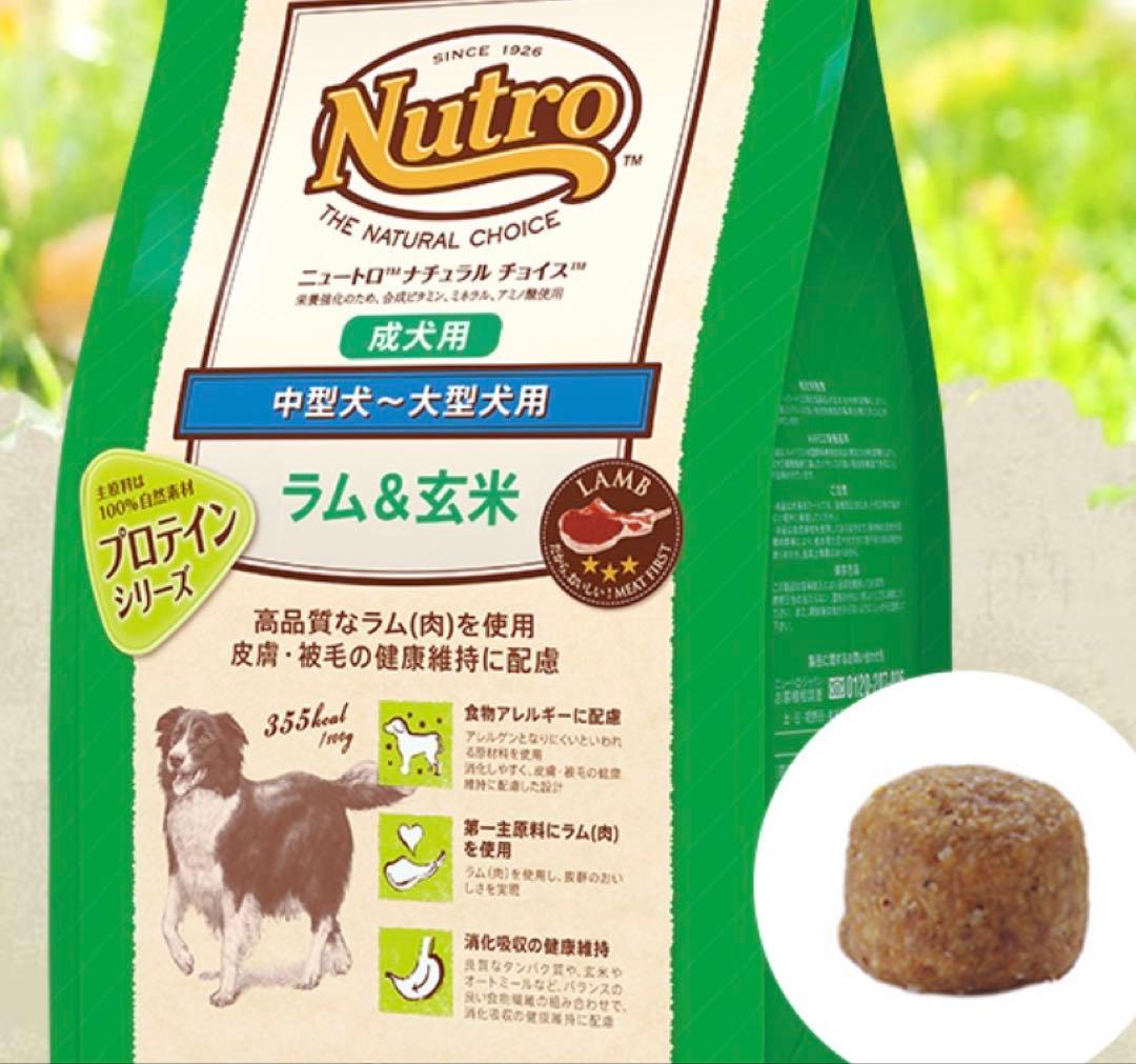 Nutro ラム＆玄米 中型犬~大型犬用 14kg