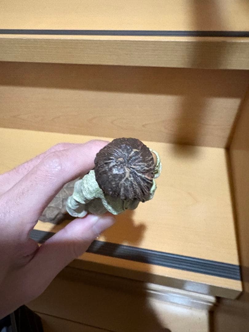 ART OF WAR ベルセルク キャスカ 生誕祭の章 特別版I 11003