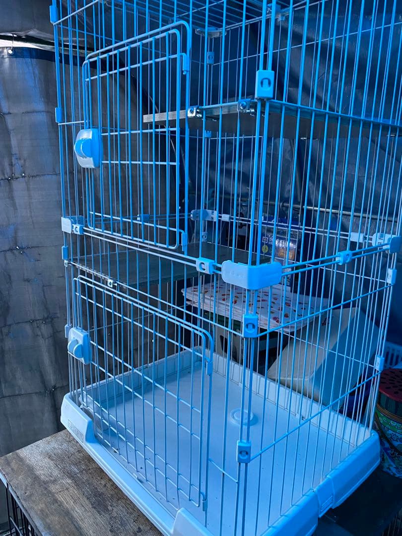 キャットゲージキャスター付き