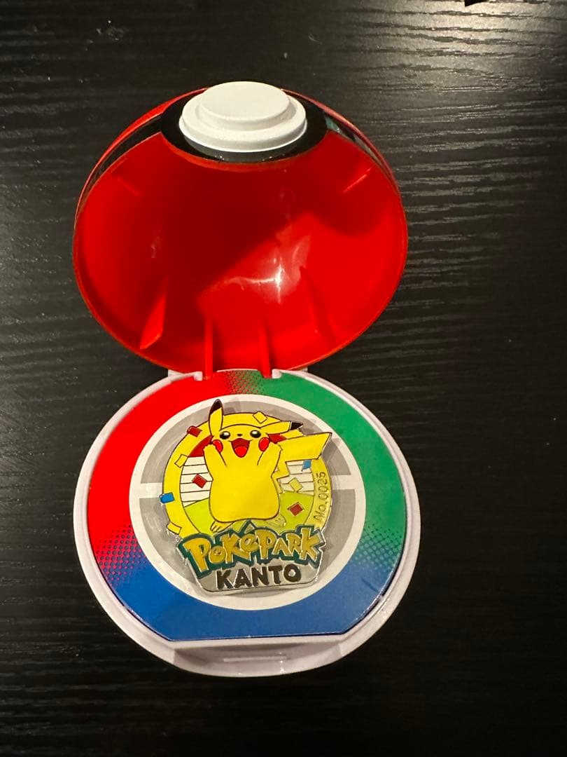 ポケパークカントー 0025 ピカチュウ　ピンズ ポケモン