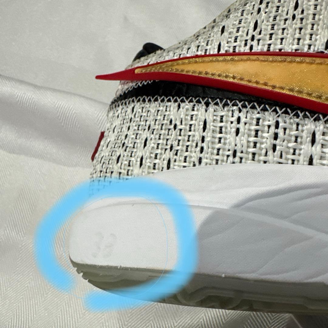 NIKE LEBRON 20 EP サイズ30cm