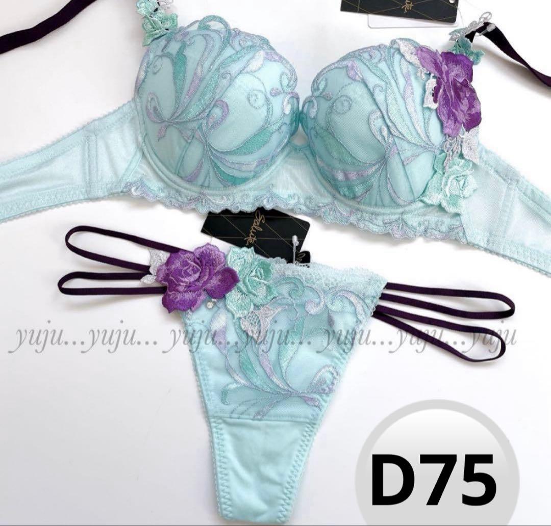 ワコール/サルート 66グループ 新品タグ付 P-upブラTバックD75TU