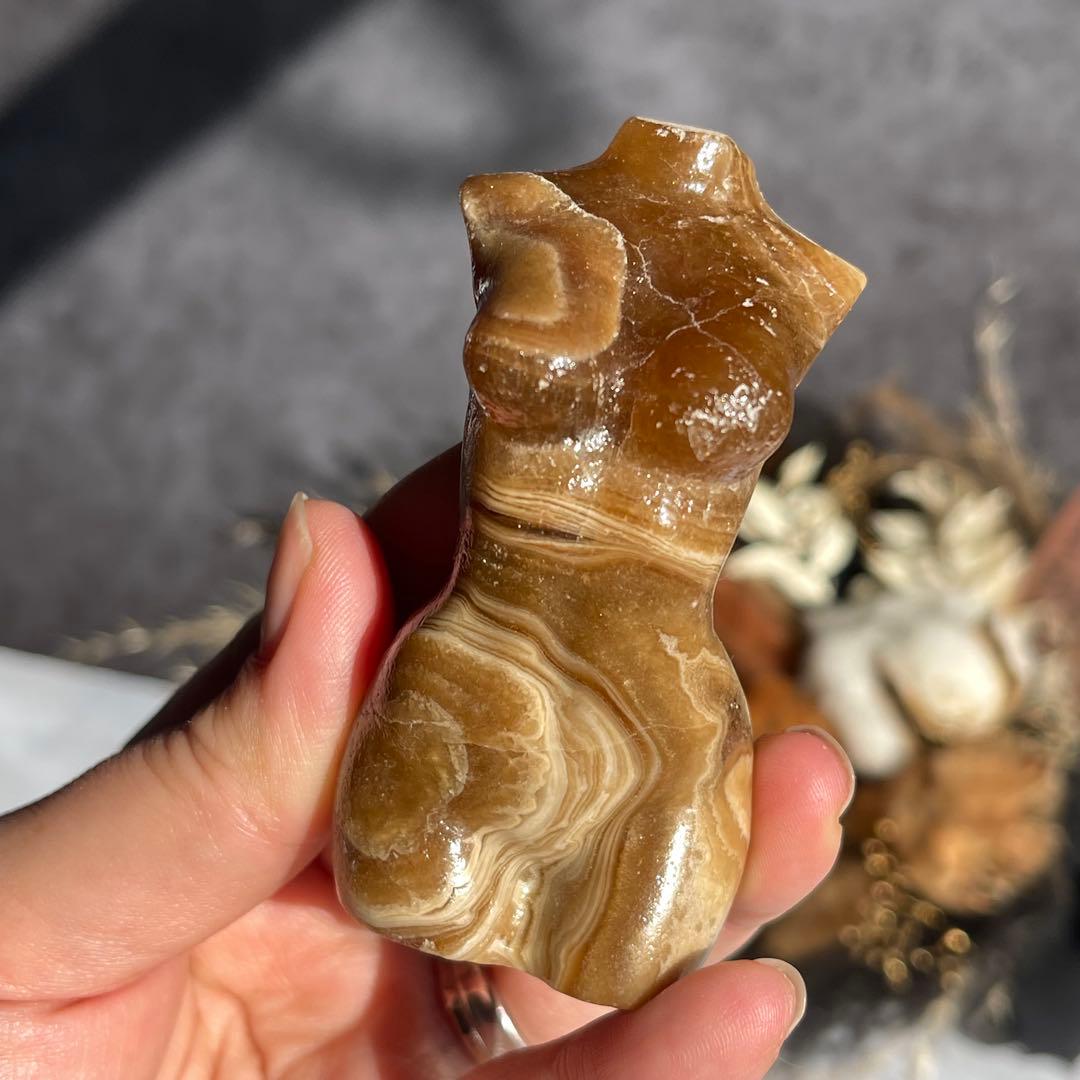 チョコレート カルサイト レディース ボディ