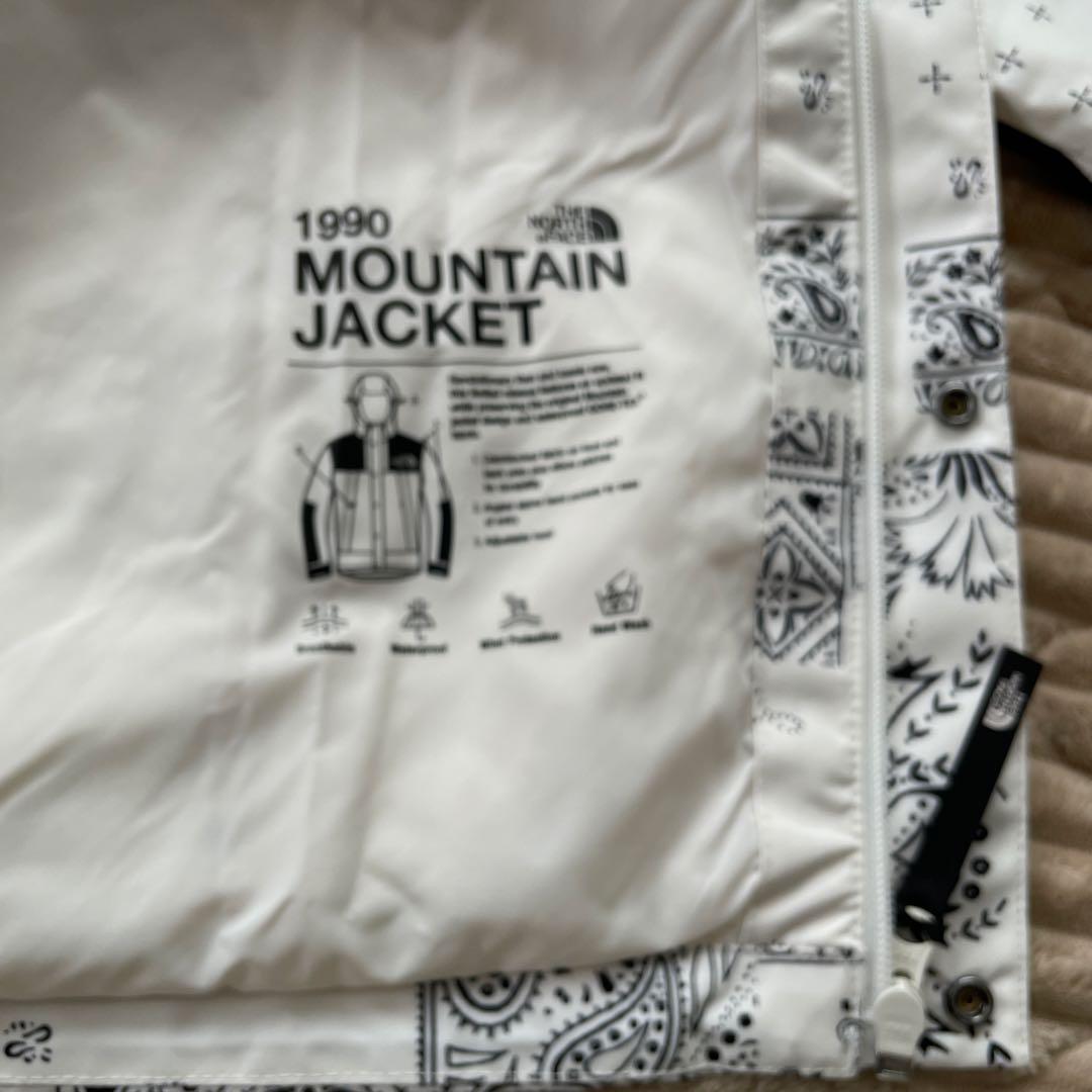 韓国限定　ノースフェイス マウンテンジャケット ゴアテックス ペイズリー　L