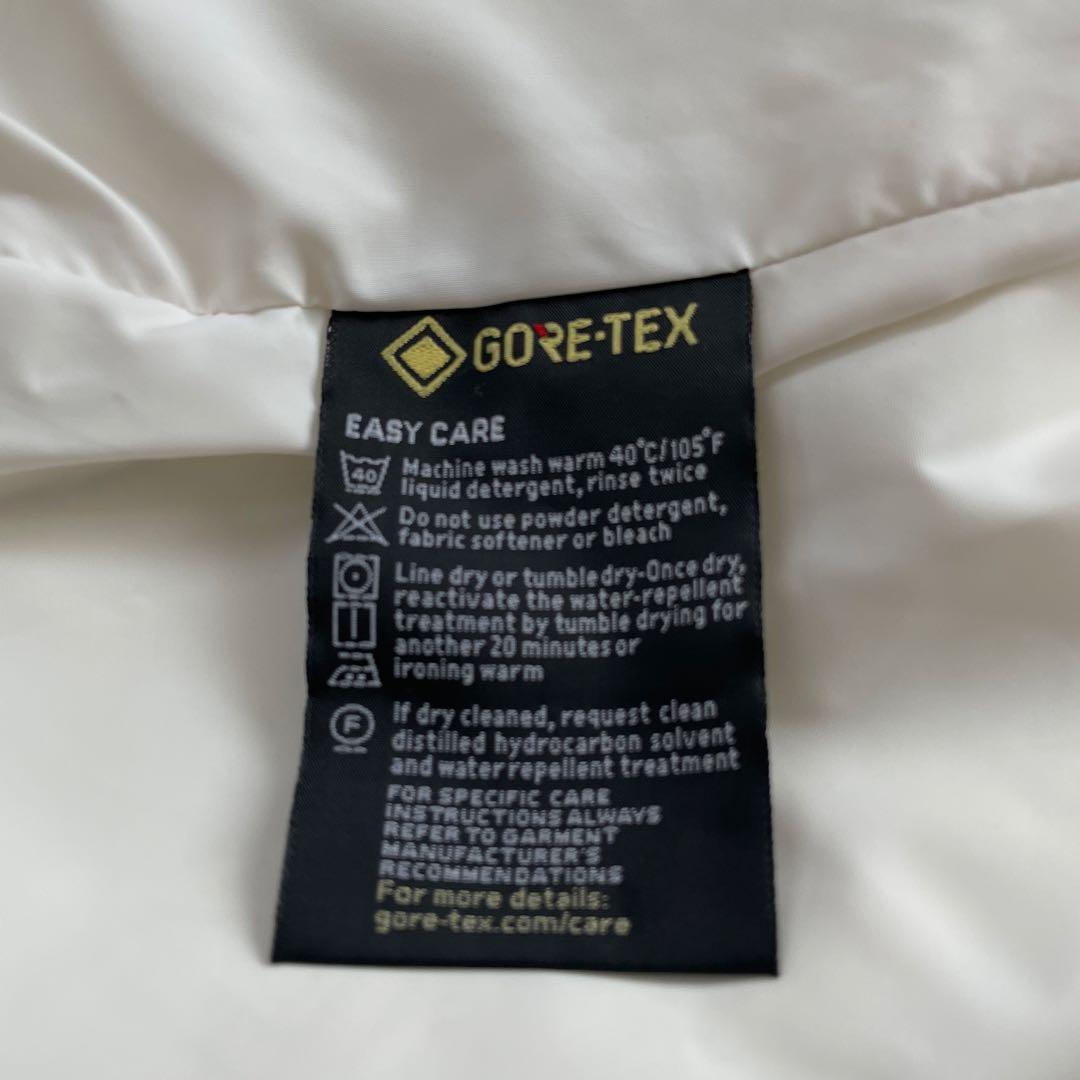 韓国限定　ノースフェイス マウンテンジャケット ゴアテックス ペイズリー　L